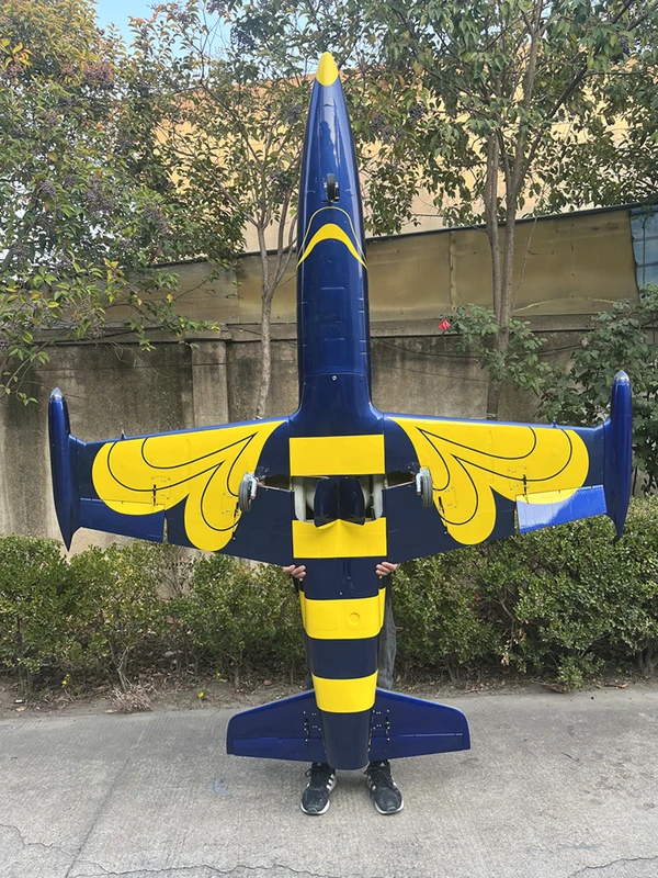 Aero L-39 — 2.6 m photo 24